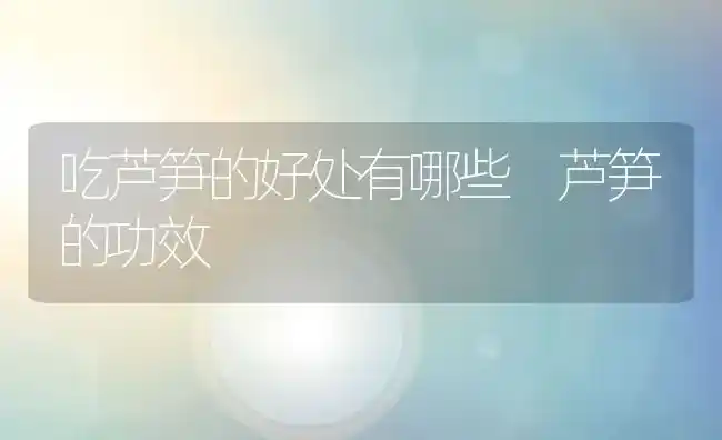 吃芦笋的好处有哪些 芦笋的功效 | 养殖资料投稿