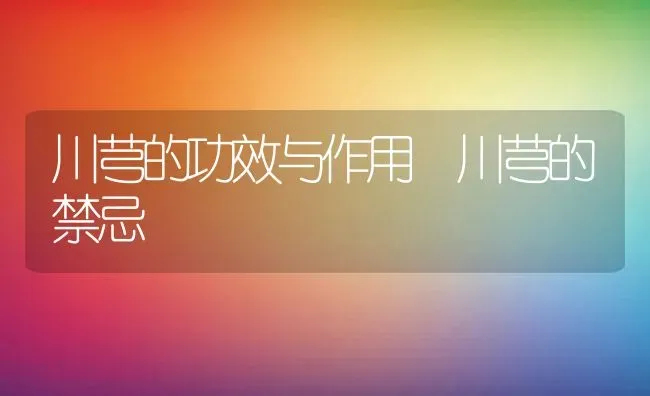川芎的功效与作用 川芎的禁忌 | 养殖资料投稿
