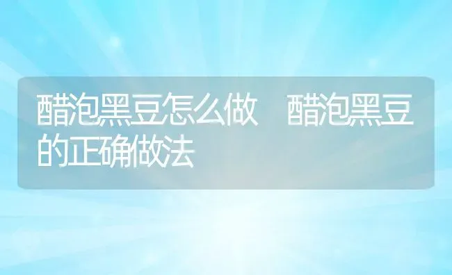醋泡黑豆怎么做 醋泡黑豆的正确做法 | 养殖资料投稿