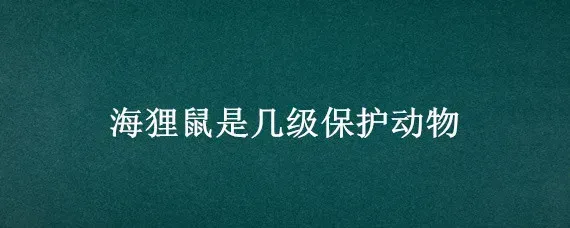 海狸鼠是几级保护动物