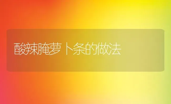 酸辣腌萝卜条的做法 | 养殖资料投稿