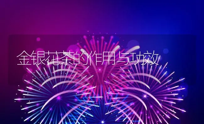 金银花茶的作用与功效 | 养殖资料投稿