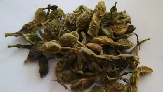 槐角茶的副作用与禁忌 槐角茶什么人不能喝