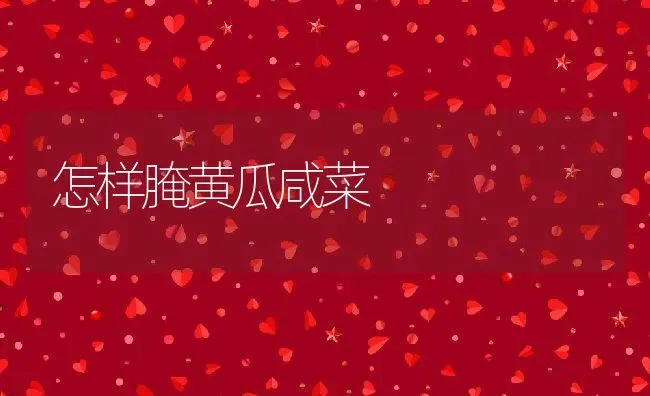 怎样腌黄瓜咸菜 | 养殖资料投稿
