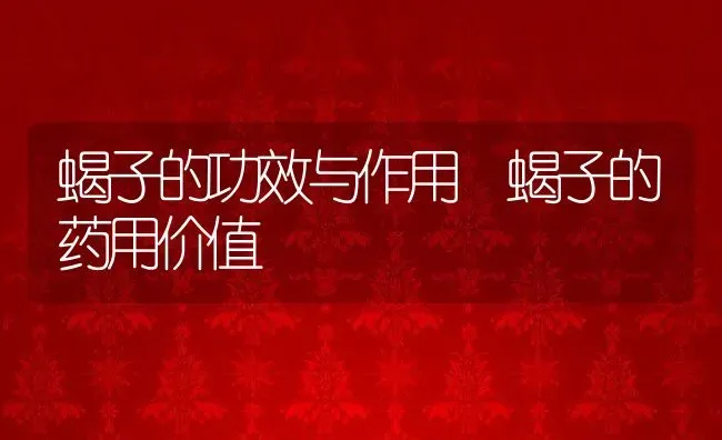 蝎子的功效与作用 蝎子的药用价值 | 养殖资料投稿