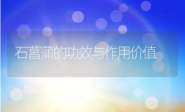 石菖蒲的功效与作用价值 | 养殖资料投稿