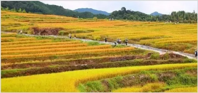 农村卖化肥一年收入多少？需要什么手续 | 热门养殖项目