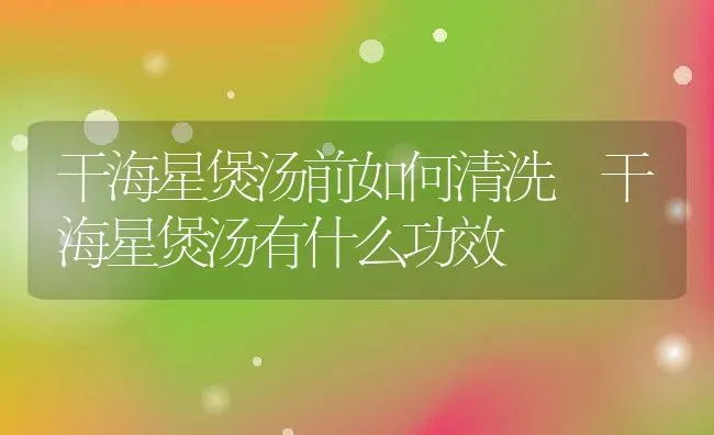 干海星煲汤前如何清洗 干海星煲汤有什么功效 | 养殖资料投稿