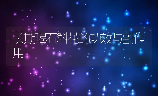 长期喝石斛花的功效与副作用 | 养殖资料投稿