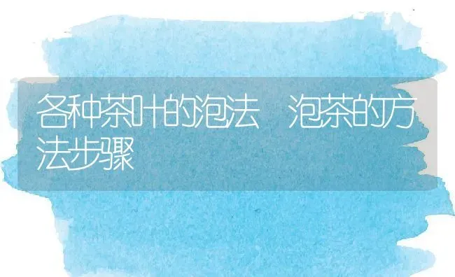 樟树子的功效与作用 | 养殖资料投稿