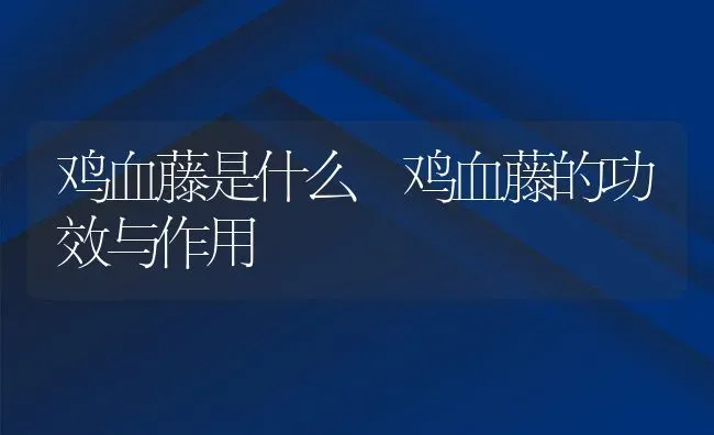 鸡血藤是什么 鸡血藤的功效与作用 | 养殖资料投稿