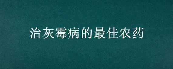 治灰霉病的最佳农药