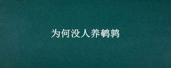 为何没人养鹌鹑