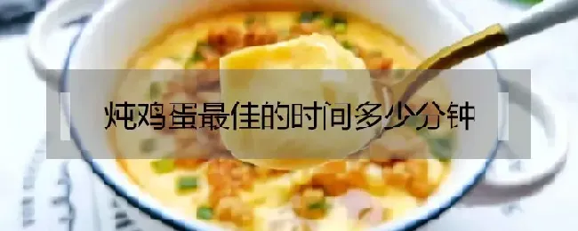 炖鸡蛋最佳的时间多少分钟