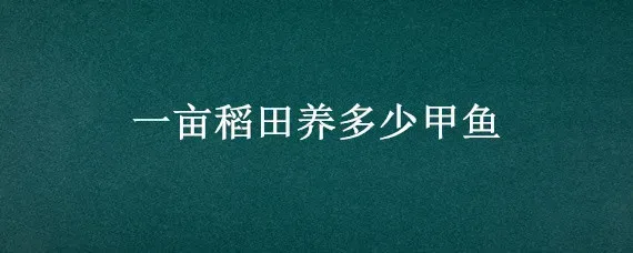 一亩稻田养多少甲鱼