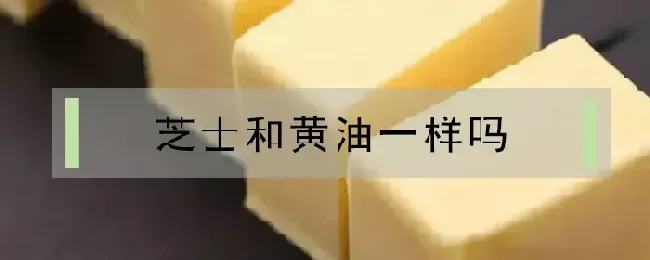 芝士和黄油一样吗