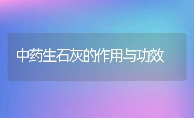 中药生石灰的作用与功效 | 养殖资料投稿