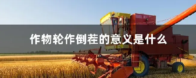作物轮作倒茬的意义是什么