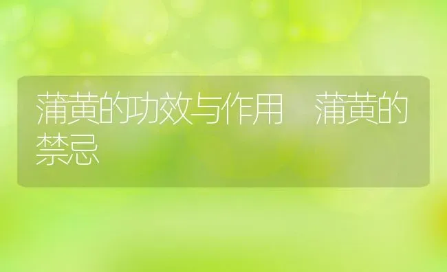 蒲黄的功效与作用 蒲黄的禁忌 | 养殖资料投稿