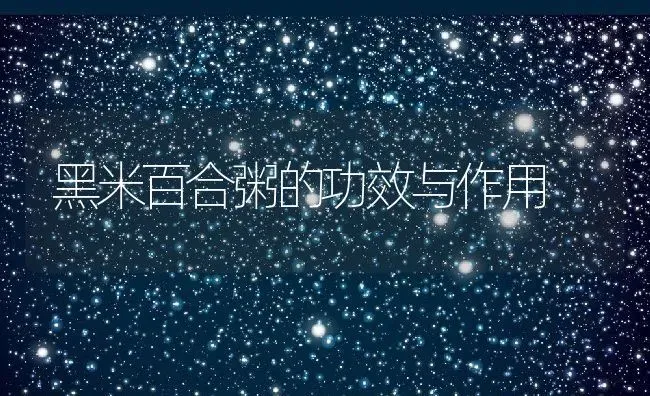 黑米百合粥的功效与作用 | 养殖资讯