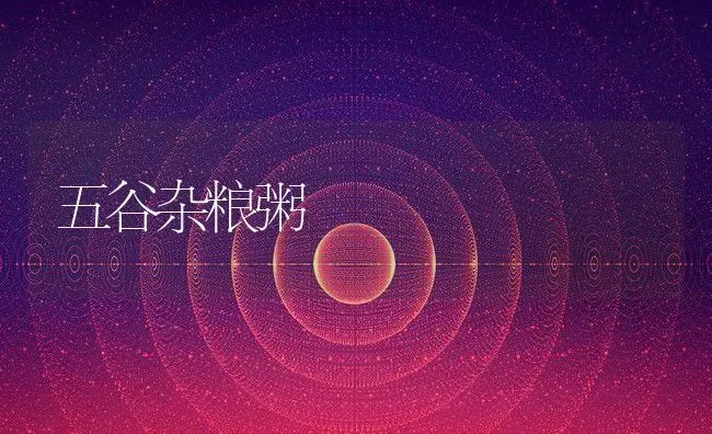 五谷杂粮粥 | 养殖资料投稿