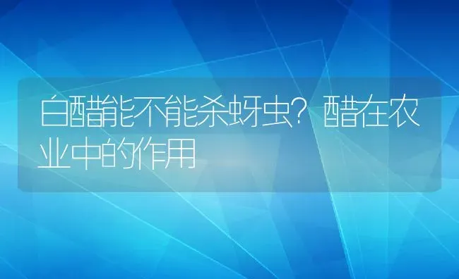 白醋能不能杀蚜虫？醋在农业中的作用 | 养殖资料投稿