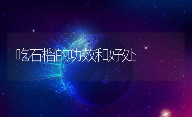 吃石榴的功效和好处 | 养殖资料投稿