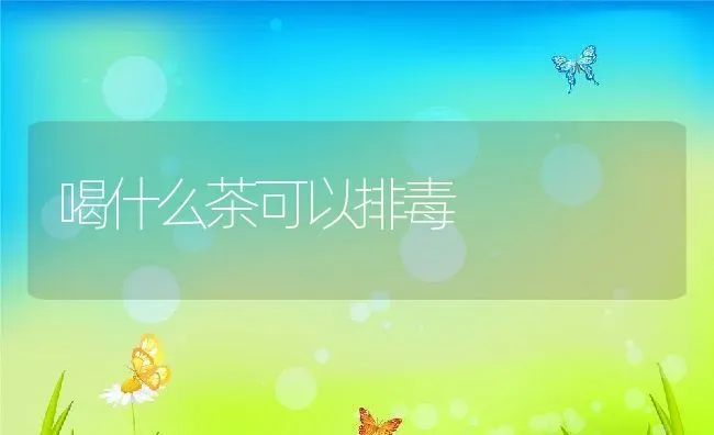 喝什么茶可以排毒 | 养殖资料投稿