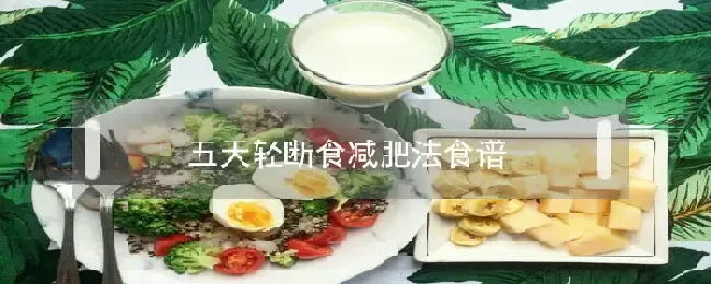 五天轻断食减肥法食谱