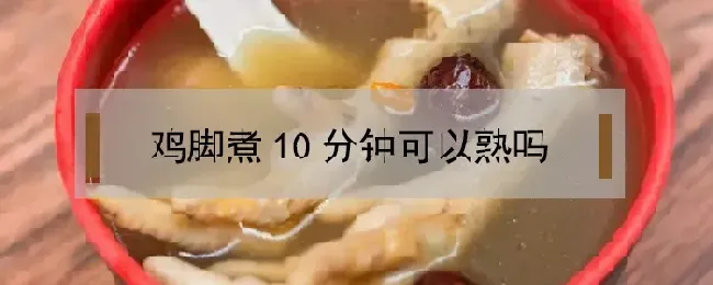 鸡脚煮10分钟可以熟吗