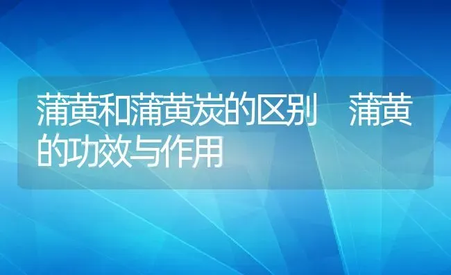 蒲黄和蒲黄炭的区别 蒲黄的功效与作用 | 养殖资料投稿