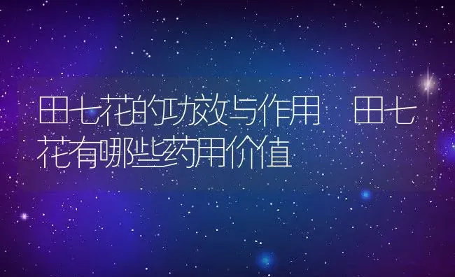 田七花的功效与作用 田七花有哪些药用价值 | 养殖资料投稿