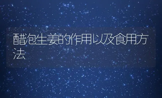 醋泡生姜的作用以及食用方法 | 养殖资料投稿