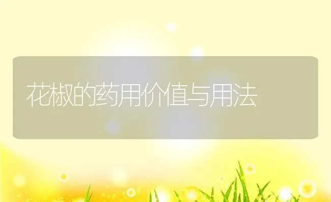 花椒的药用价值与用法 | 养殖资料投稿