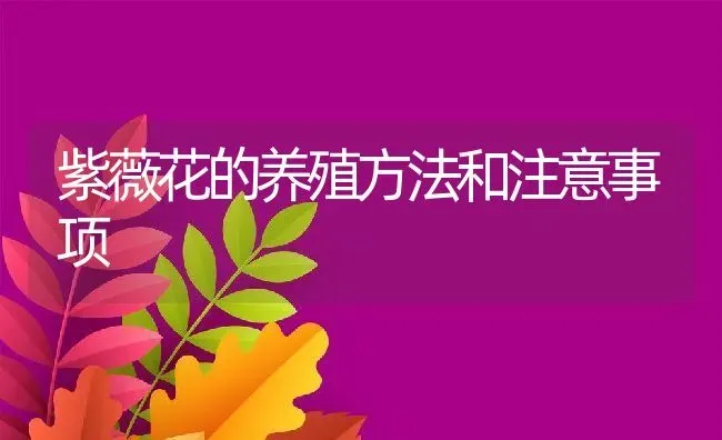 紫薇花的养殖方法和注意事项 | 养殖资料投稿