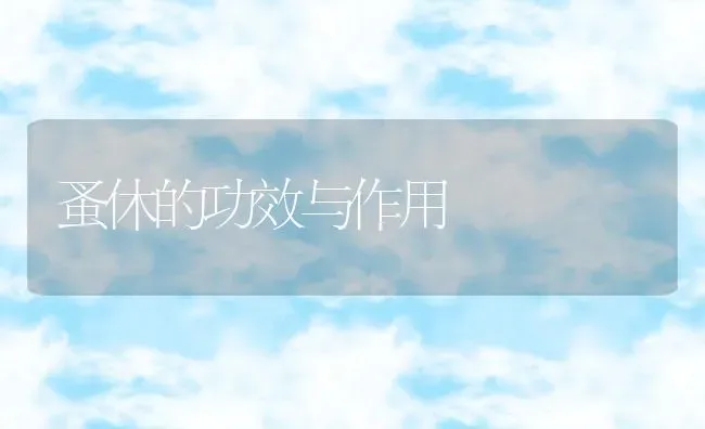 蚤休的功效与作用 | 养殖资料投稿