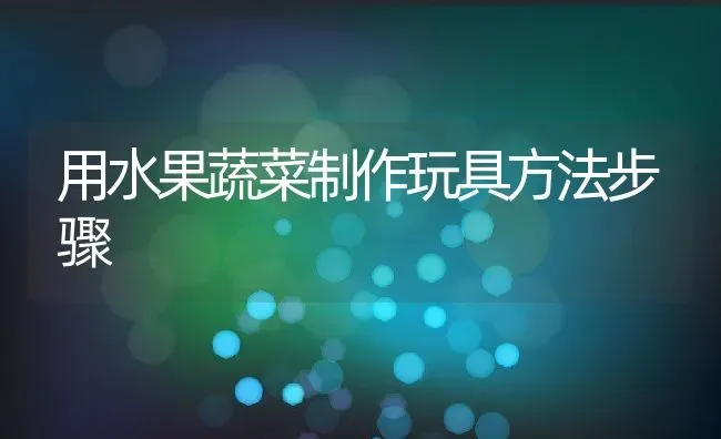 用水果蔬菜制作玩具方法步骤 | 养殖资料投稿
