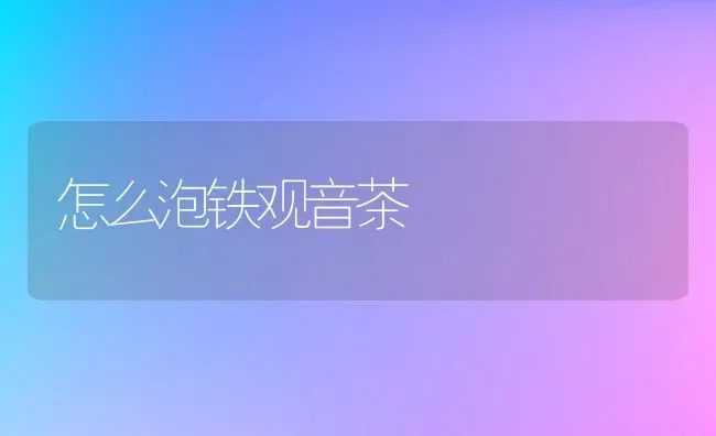 怎么泡铁观音茶 | 养殖资料投稿