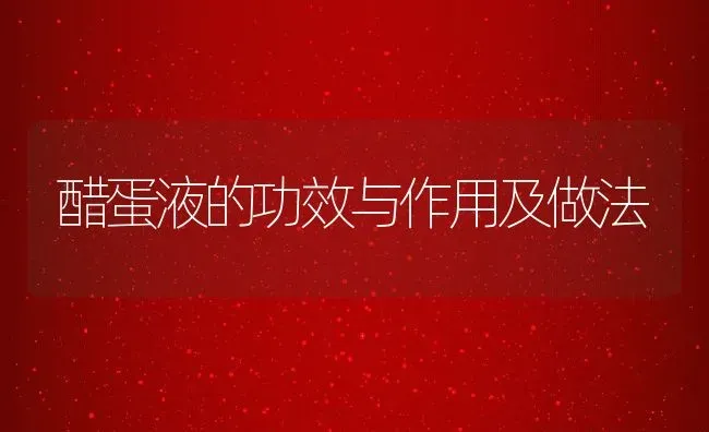 醋蛋液的功效与作用及做法 | 养殖资料投稿