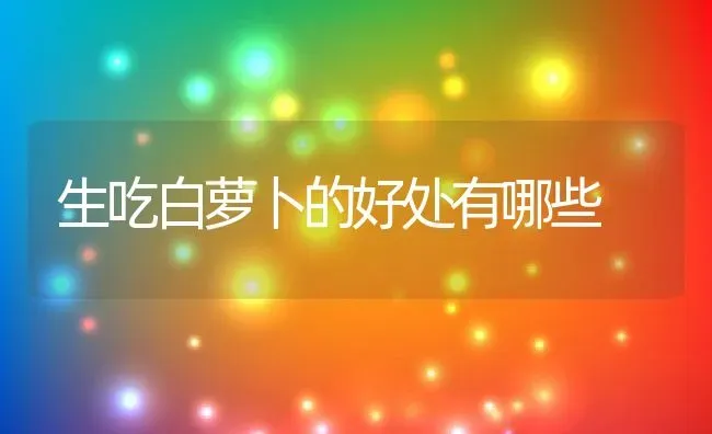 生吃白萝卜的好处有哪些 | 养殖资料投稿