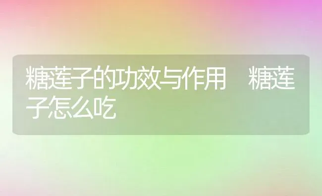 糖莲子的功效与作用 糖莲子怎么吃 | 养殖资料投稿