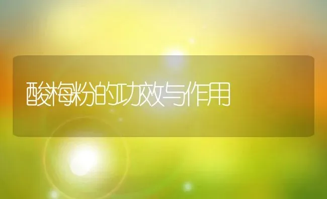酸梅粉的功效与作用 | 养殖资料投稿