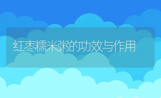 红枣糯米粥的功效与作用 | 养殖资讯
