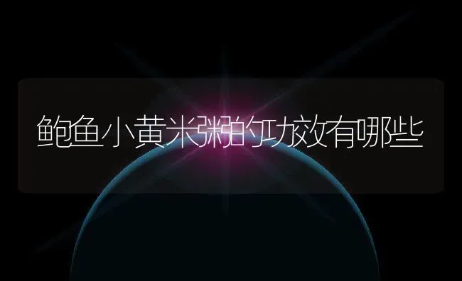 鲍鱼小黄米粥的功效有哪些 | 养殖资讯