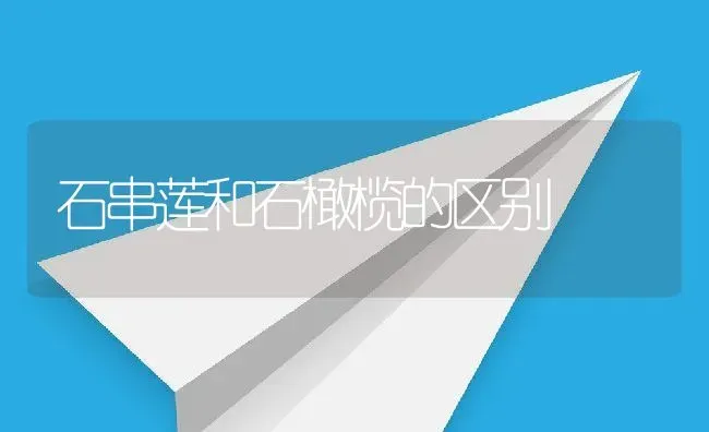 石串莲和石橄榄的区别 | 养殖资料投稿