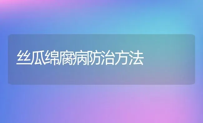 丝瓜绵腐病防治方法 | 养殖资料投稿