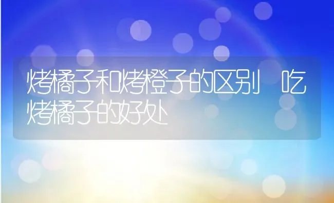 烤橘子和烤橙子的区别 吃烤橘子的好处 | 养殖资料投稿