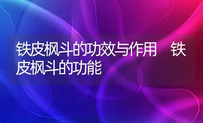 铁皮枫斗的功效与作用 铁皮枫斗的功能 | 养殖资料投稿