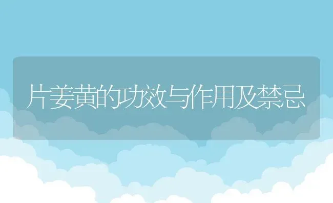 片姜黄的功效与作用及禁忌 | 养殖资料投稿
