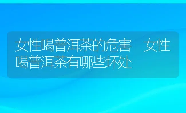 女性喝普洱茶的危害 女性喝普洱茶有哪些坏处 | 养殖资料投稿